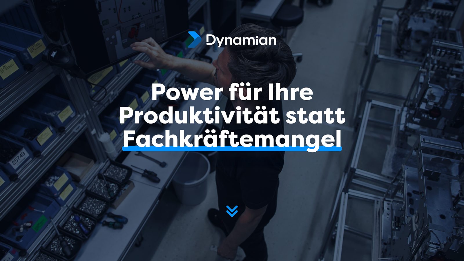 Dynamian